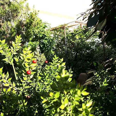 Pensjonat Le Di Sabrina Con Bagno In 3*