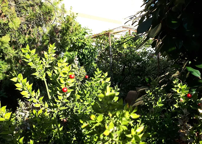 Pensjonat Le Di Sabrina Con Bagno In 3*